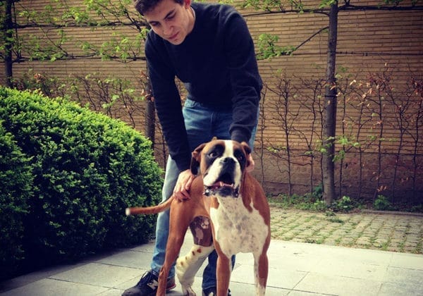 dogsitting_05-landscape
